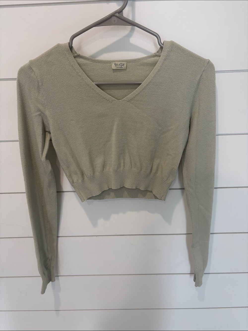 Brandy Melville Light Green Long Sleeve Cropped Sweater